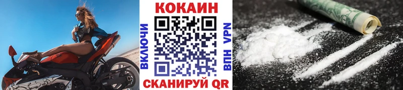 Кокаин FishScale  где купить наркоту  Порхов 