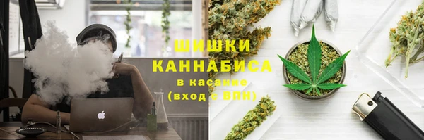 спиды Медногорск