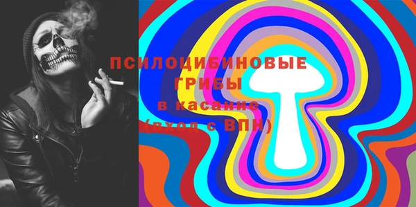 спиды Медногорск