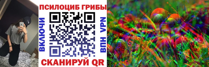 Псилоцибиновые грибы ЛСД Порхов