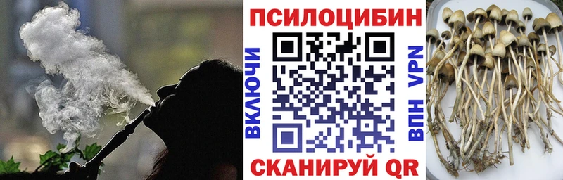 где можно купить   Порхов  Галлюциногенные грибы ЛСД 
