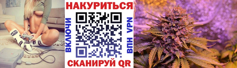 МАРИХУАНА план  продажа наркотиков  mega ссылки  Порхов 